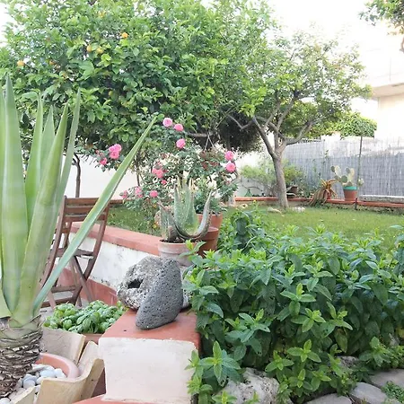 Bed & Breakfast B&B San Leone San Leone