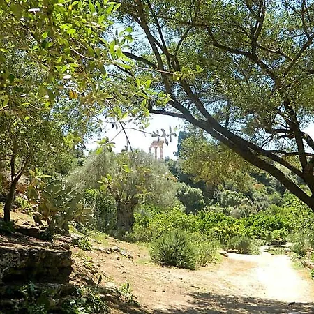 Oda ve Kahvaltı B&B San Leone San Leone
